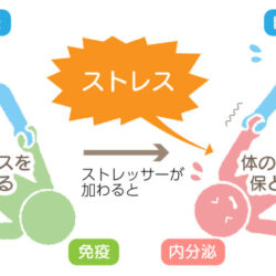 気温の激変に対抗している身体の恒常性と漢方薬の役割