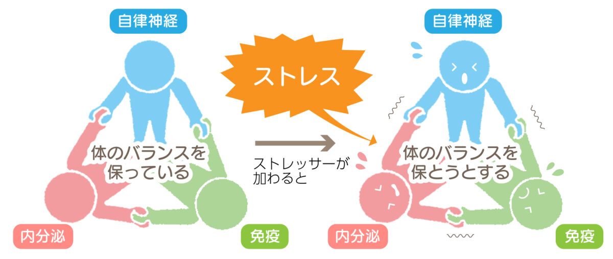 そもそもニキビの原因とは